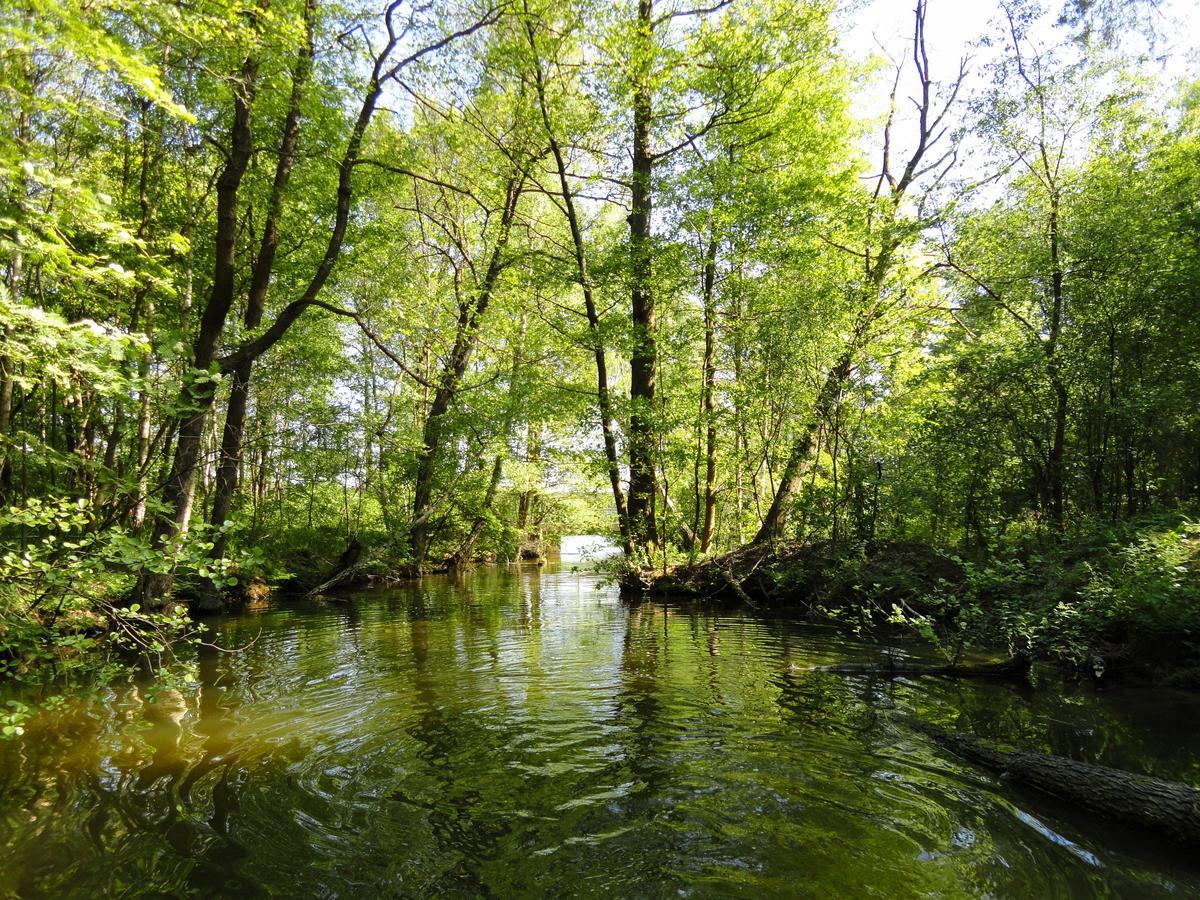 Ferienpark Am Glubigsee Wendisch Rietz Εξωτερικό φωτογραφία